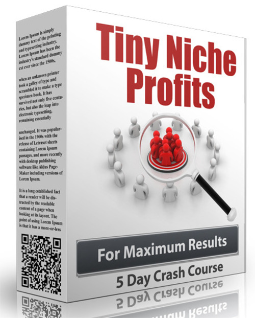 Product picture Tiny Niche Profits - eCourse PLR